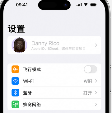 尼木appleID维修服务iPhone设置中Apple ID显示为灰色无法使用 