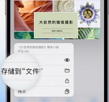 尼木apple维修中心分享iPhone文件应用中存储和找到下载文件