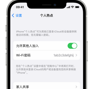 尼木apple服务站点分享iPhone上个人热点丢失了怎么办 