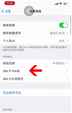 尼木苹果14维修网分享如何给iPhone14的SIM卡设置密码 