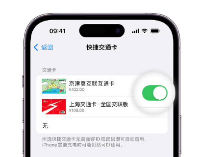 尼木apple维修点分享iPhone上更换Apple Pay快捷交通卡手绘卡面 