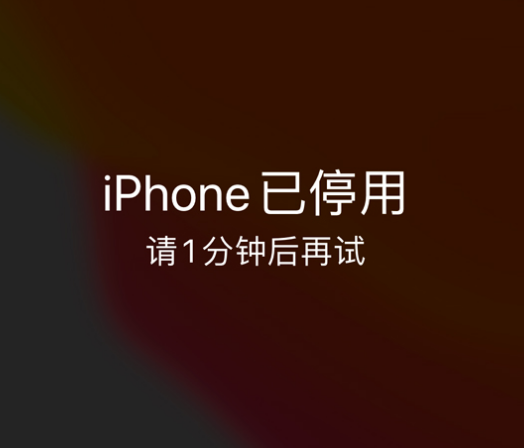 尼木苹果手机维修分享:iPhone 显示“不可用”或“已停用”怎么办？还能保留数据吗？ 