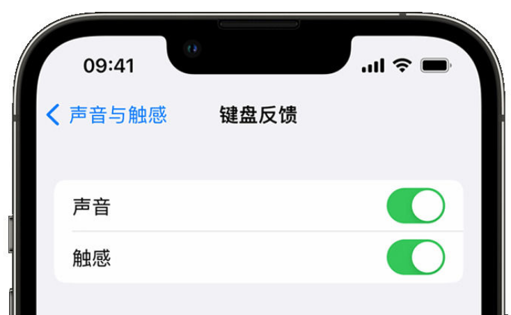 尼木苹果手机维修分享iPhone 14触感键盘使用方法 