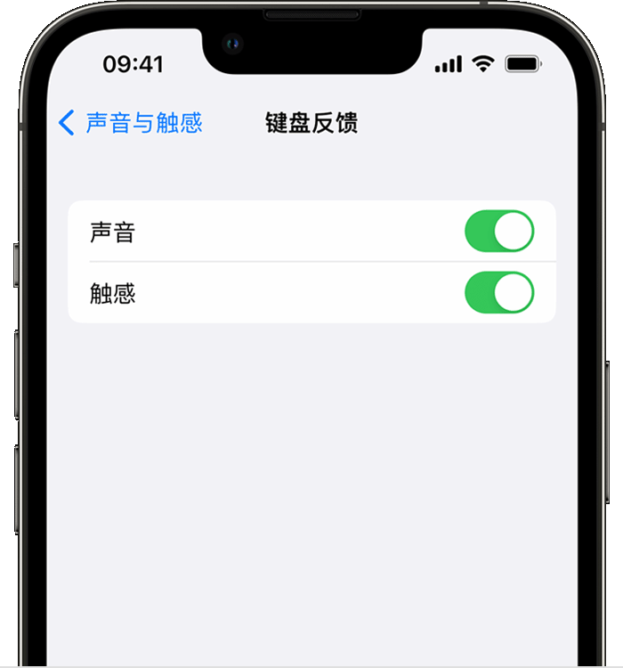 尼木苹果14维修店分享如何在 iPhone 14 机型中使用触感键盘 