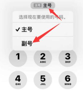 尼木苹果14维修店分享iPhone 14 Pro Max使用副卡打电话的方法 