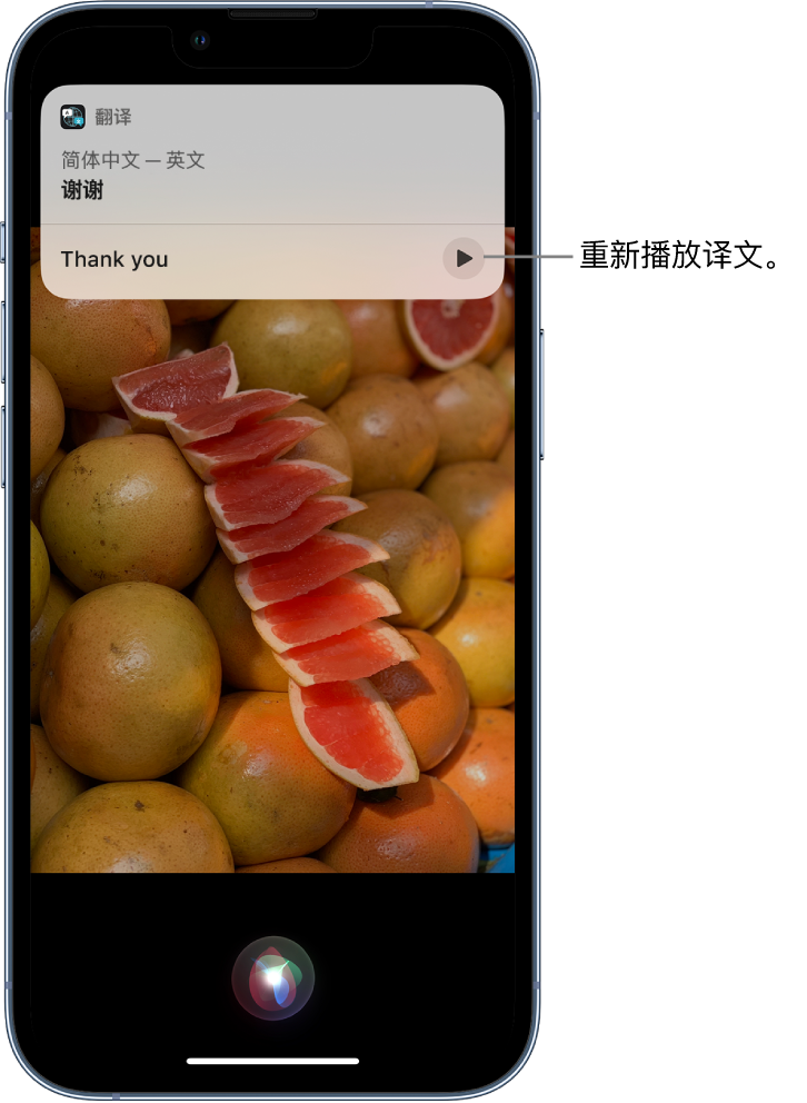 尼木苹果14维修分享 iPhone 14 机型中使用 Siri：了解 Siri 能帮你做什么 