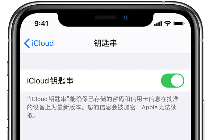 尼木苹果手机维修分享在 iPhone 上开启 iCloud 钥匙串之后会储存哪些信息 