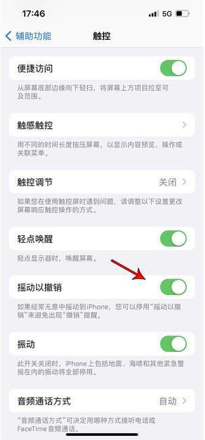 尼木苹果手机维修分享iPhone手机如何设置摇一摇删除文字 